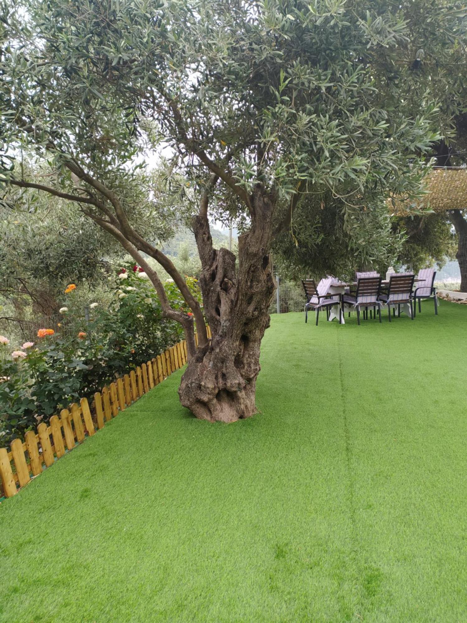 Limenari Cottage Kechria Εξωτερικό φωτογραφία